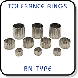 BN type tolerance ring