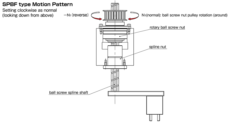 SPBF Motion Pattern